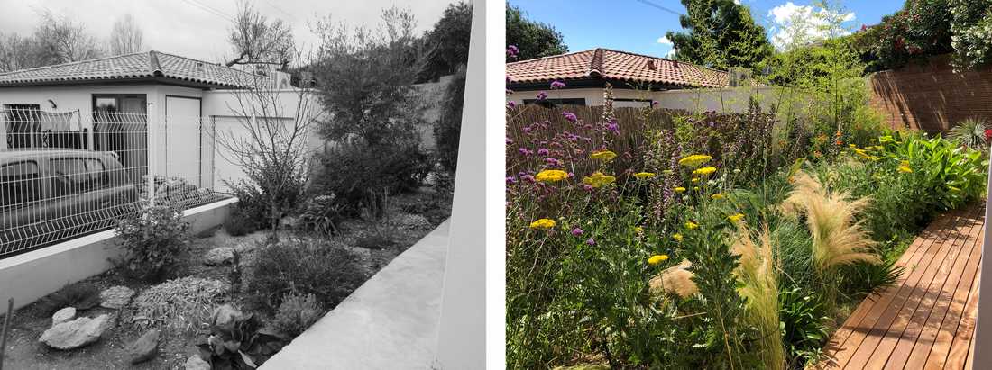 Avant-après de l'aménagement d'une petit jardin dans un lotissement par un paysagiste dans les Pyrénées-Atlantiques
