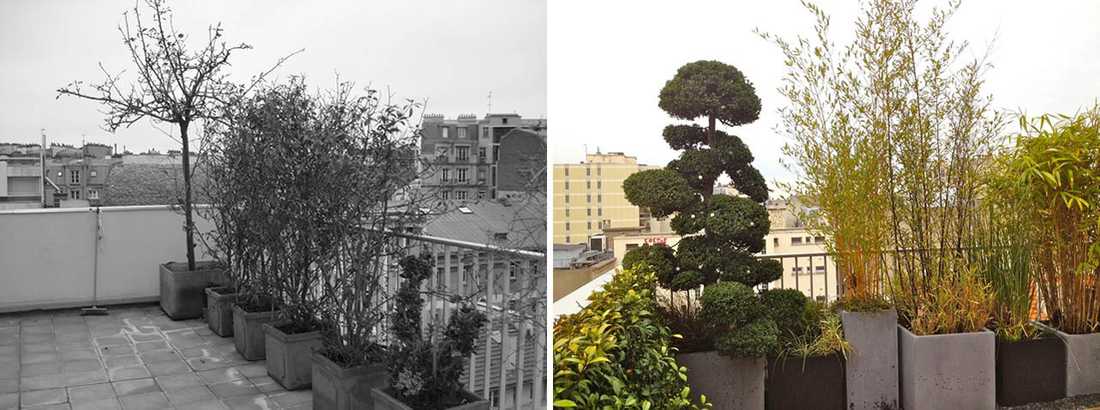 Avant - Après : Aménagement paysagé d'une terrasse avec vue à Biarritz