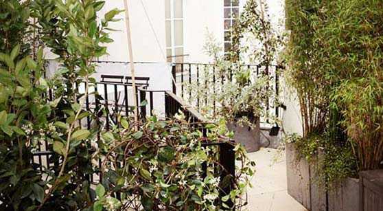 Photos avant - aprés de l'aménagement d'une terrasse à Biarritz par un jardinier paysagiste