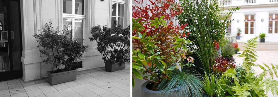 Un jardinier paysagiste aménage la cour intérieure d'un hôtel particulier à Biarritz
