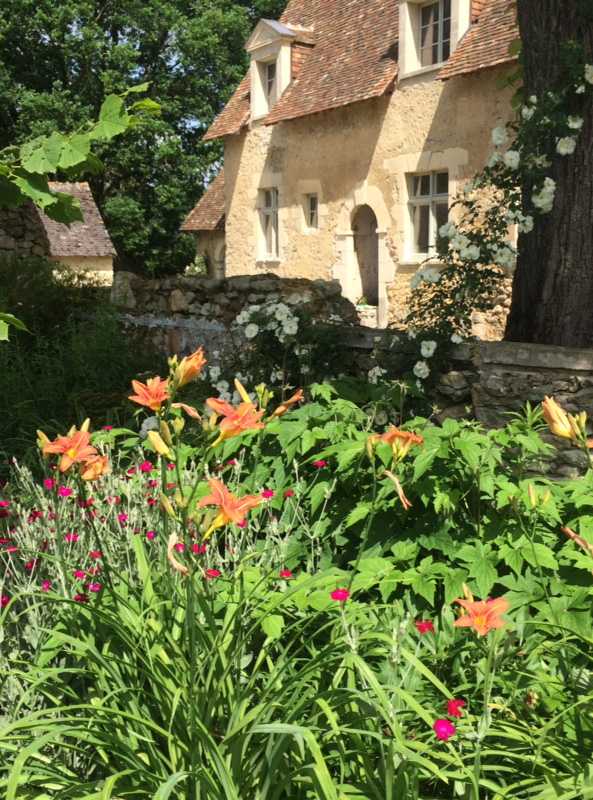 Fleurs d'orangés dans un jardin dans les Pyrénées-Atlantiques