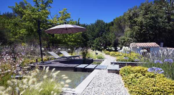 Aménagement d'un jardin graphique avec piscine et végétation méditerranéenne