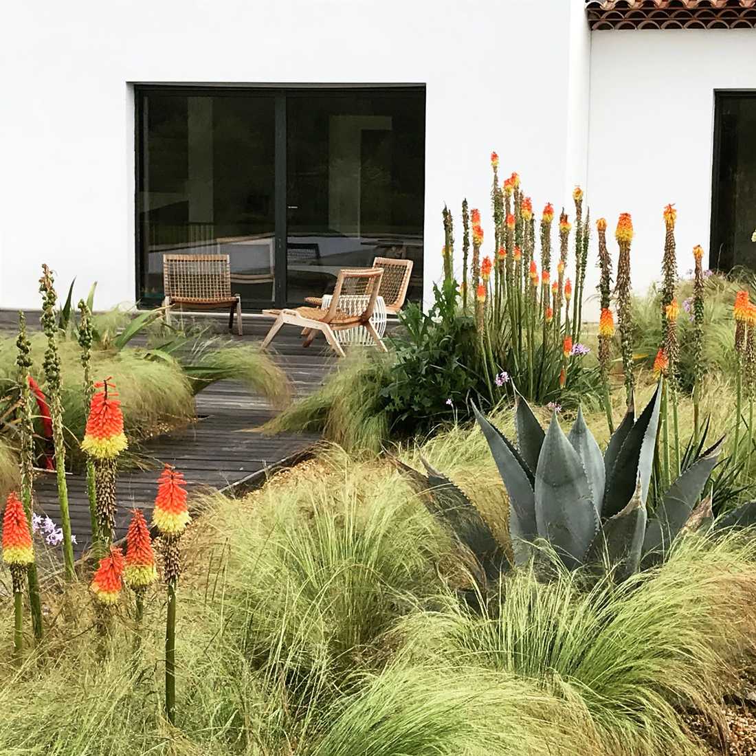 Jardin exotique et graphique mediterranéen