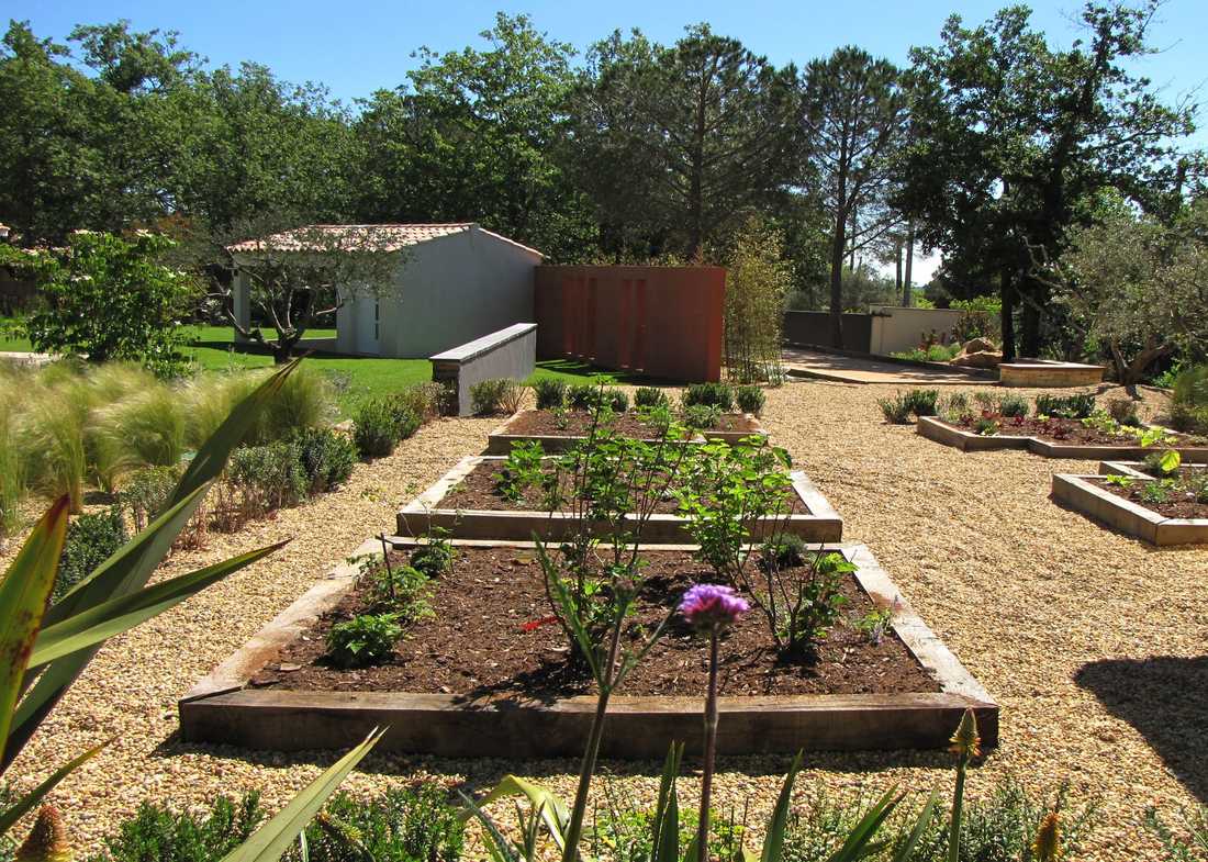 Potager méditerrannéen réalisé par un jardinier paysagiste à Biarritz